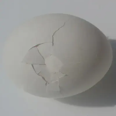 Cracked Egg