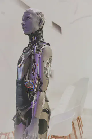 Humanoid Robot