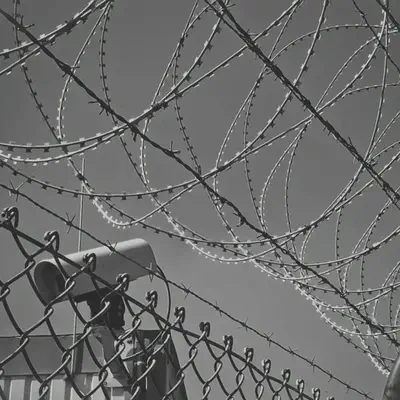 Grayscale Barbed Wire