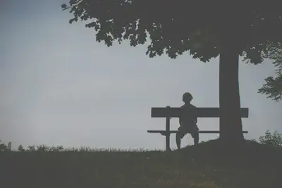 Person Sitting on Bench Under Tree