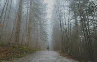 Person Walking Path in Woods