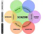 Schizoid Personality Subtypes (Millon’s and Ours)