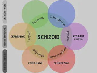 Skizoid Subtypes Diagram