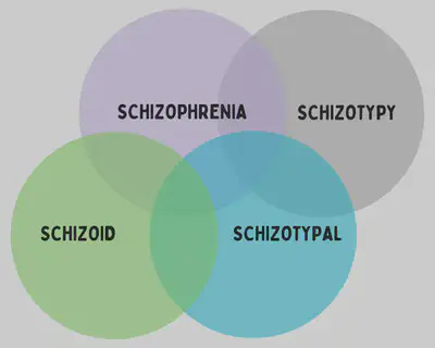 Schizo Venn Diagram