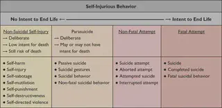 Behavior Table
